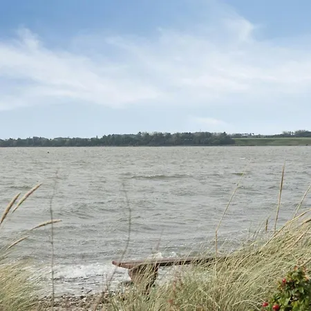 Close To The Limfjord *